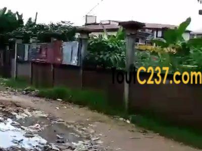 Terrain d'angle à vendre à Logbessou (iuc)