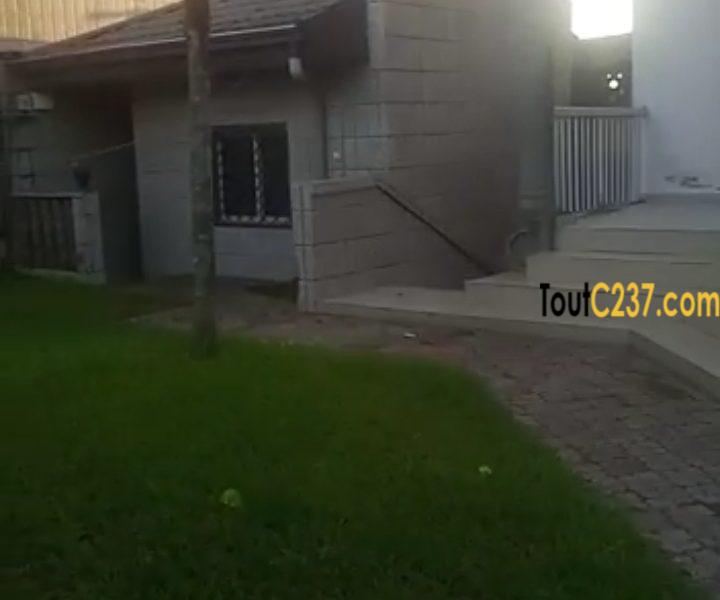 Duplex avec immeuble à vendre à Bonamoussadi
