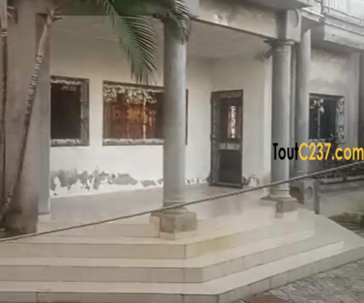 Duplex avec immeuble à vendre à Bonamoussadi