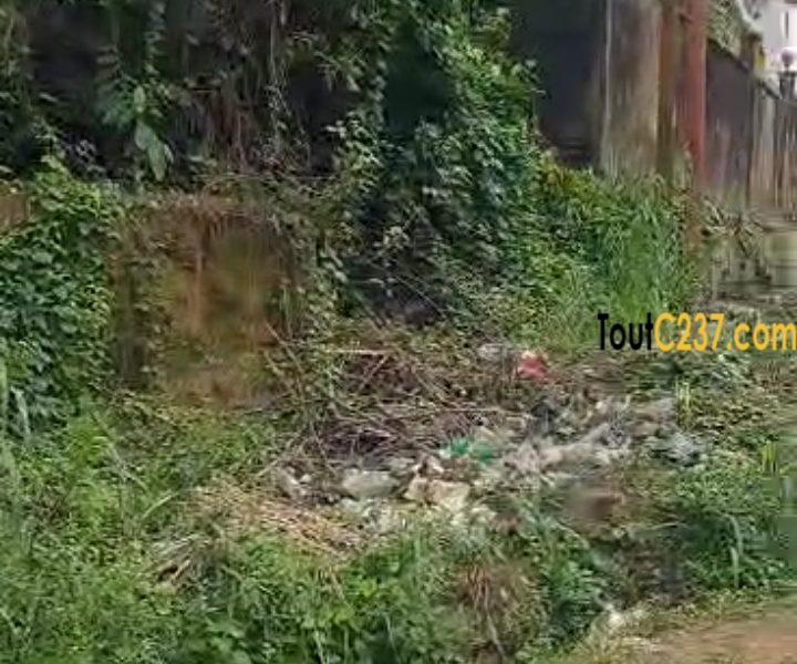 Terrain à vendre à Kotto Bangue Douala