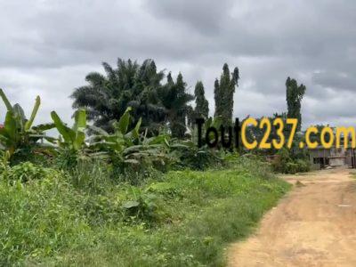 Urgent: Terrain à vendre à Logbessou (BAO)