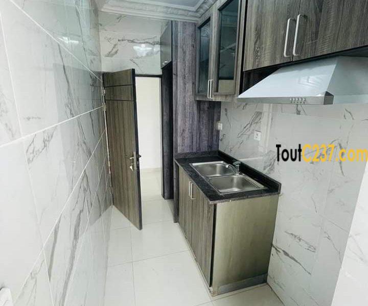 Appartement neuf à louer à Bonamoussadi