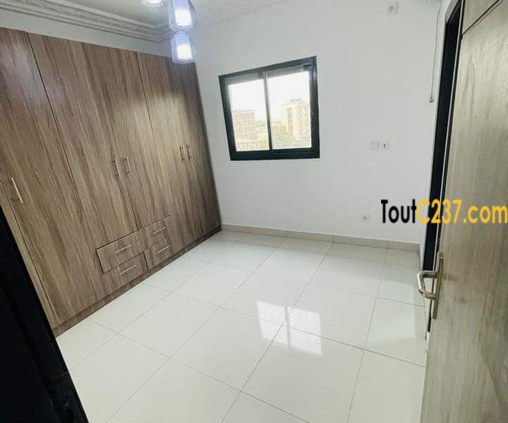 Appartement neuf à louer à Bonamoussadi