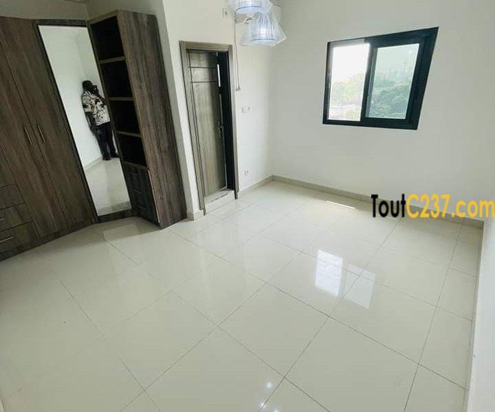 Appartement neuf à louer à Bonamoussadi