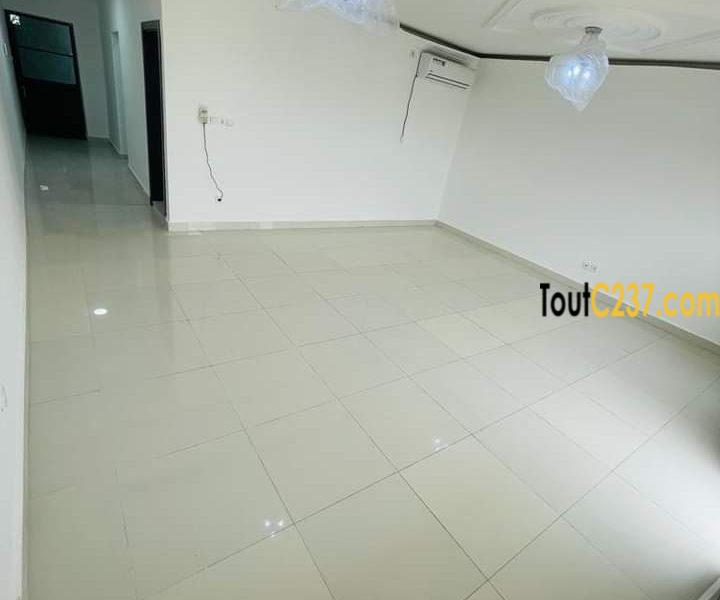 Appartement neuf à louer à Bonamoussadi