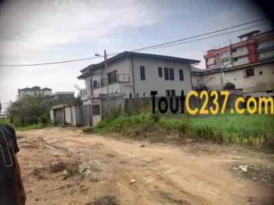 Terrain à vendre à Bonamoussadi Denver
