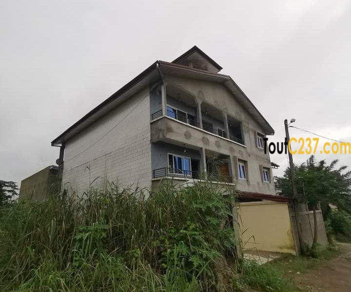 Duplex R+2 vip à vendre à Japoma, Douala