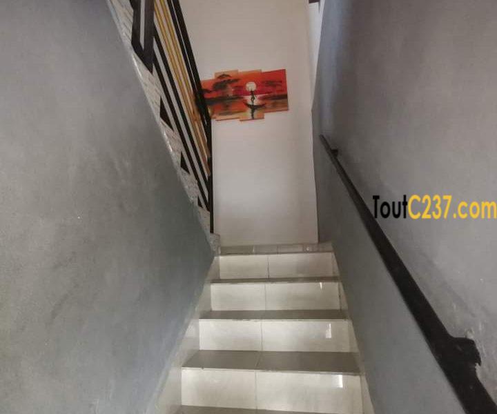 Duplex R+2 vip à vendre à Japoma, Douala