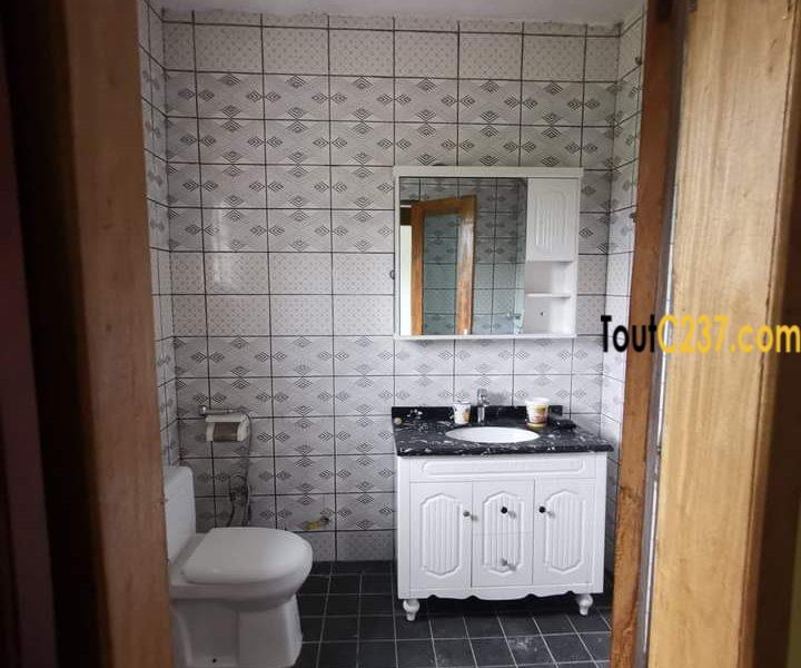 Duplex R+2 vip à vendre à Japoma, Douala