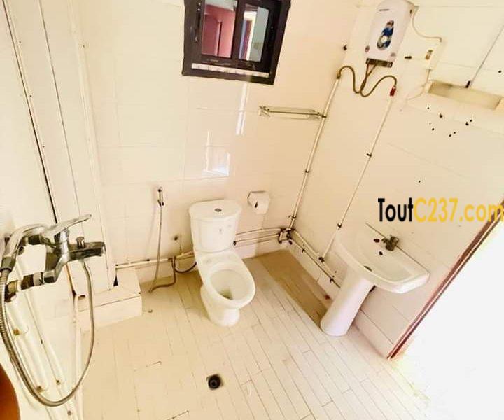 Appartement à louer à Bonapriso Douala