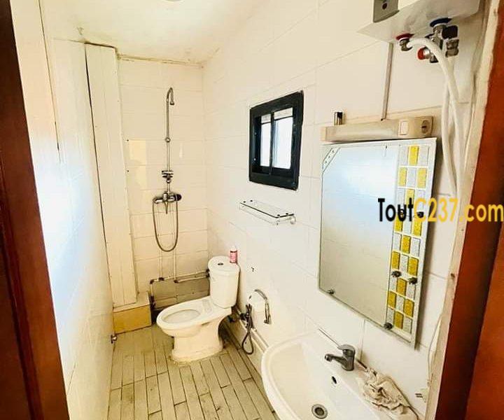 Appartement à louer à Bonapriso Douala