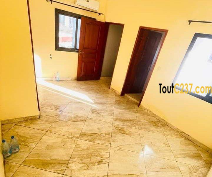 Appartement à louer à Bonapriso Douala