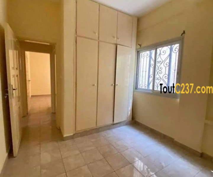 Appartement à louer à Bonapriso