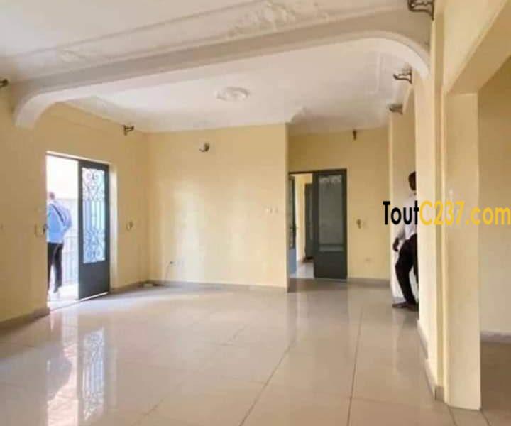 Appartement à louer à Bonapriso