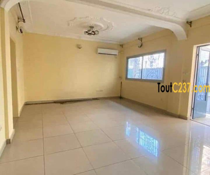 Appartement à louer à Bonapriso