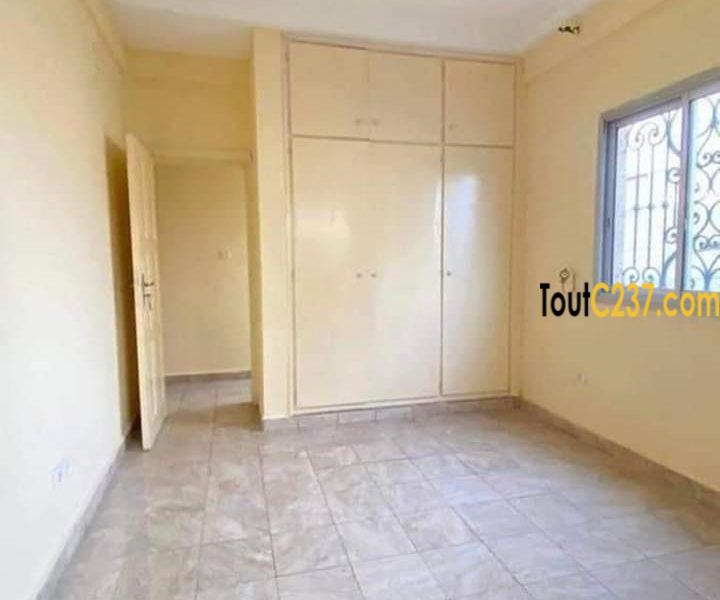 Appartement à louer à Bonapriso