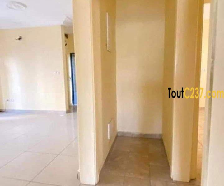 Appartement à louer à Bonapriso