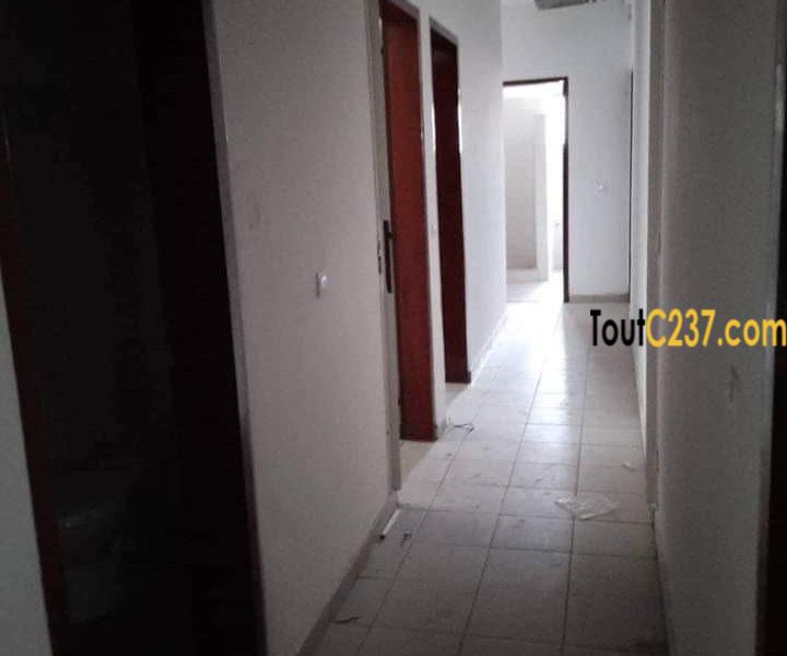 Appartement à louer à Bonapriso Douala
