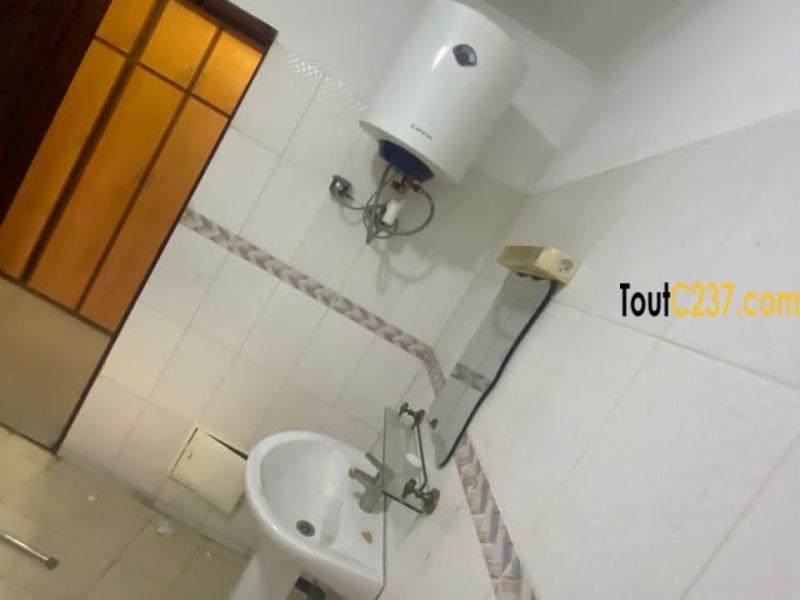 Appartement vip à louer à Bonamoussadi, Denver h