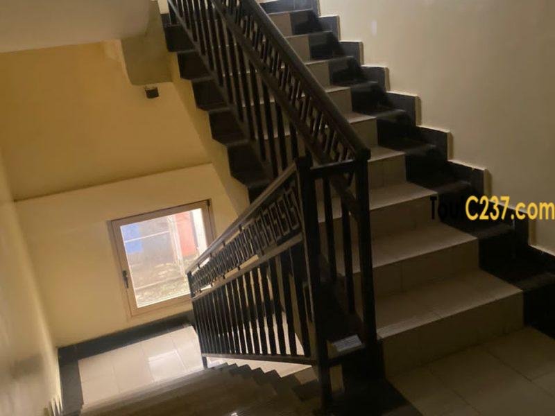 Appartement vip à louer à Bonamoussadi, Denver h