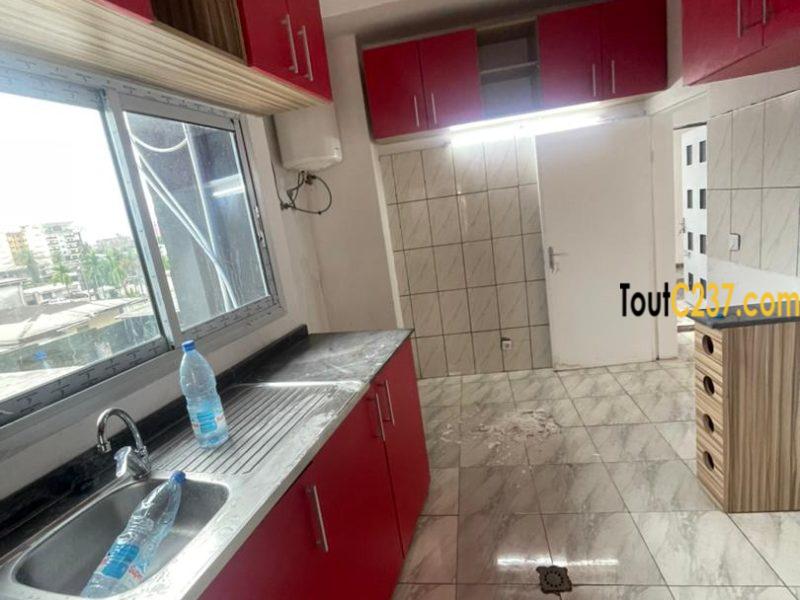 Appartement à louer à Bonapriso Douala