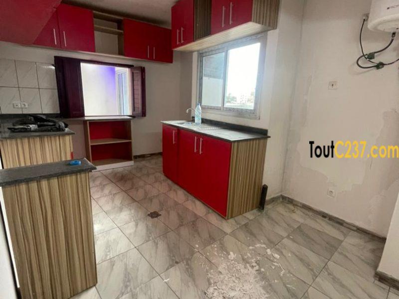 Appartement à louer à Bonapriso Douala
