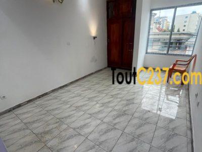 Appartement à louer à Bonapriso Douala