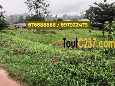 Urgent: Terrain à vendre à Édea