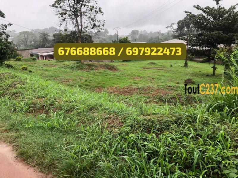 Urgent: Terrain à vendre à Édea