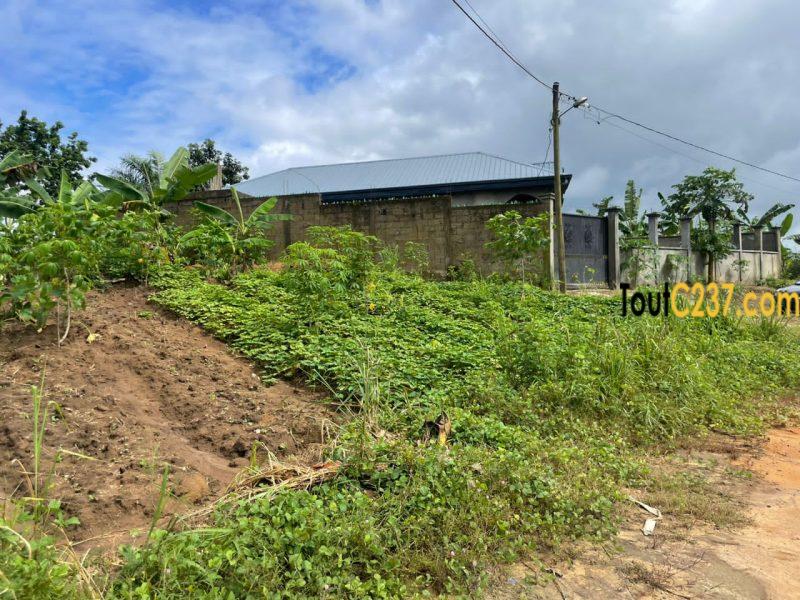 Terrain à vendre à Lendi, Douala