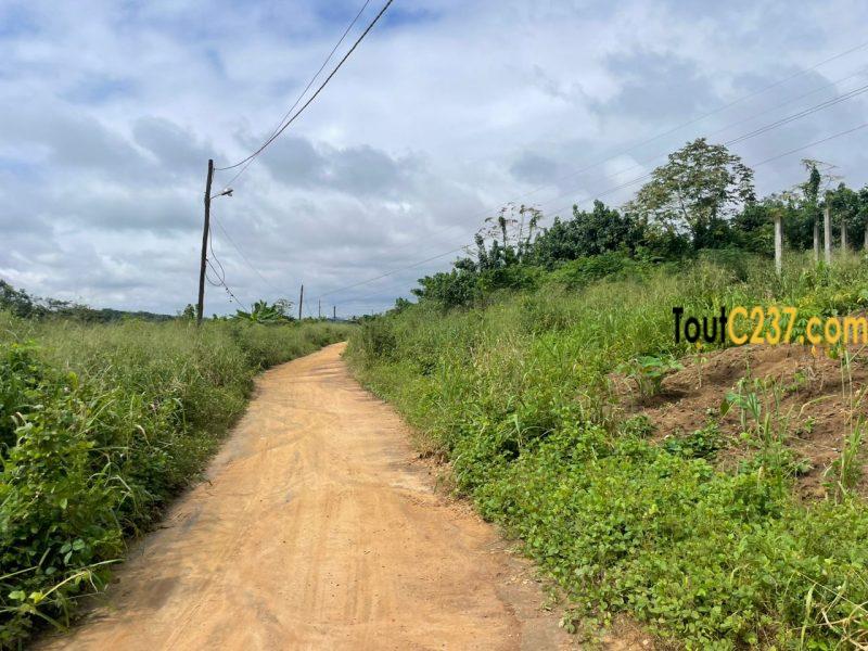 Terrain à vendre à Lendi, Douala