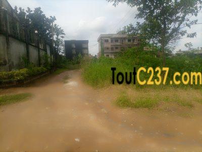 Terrain à vendre à Logbessou (témoin de Jéhovah)