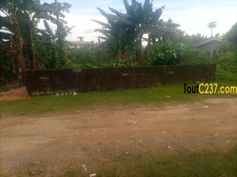Terrain à vendre à Logbessou (carrefour)