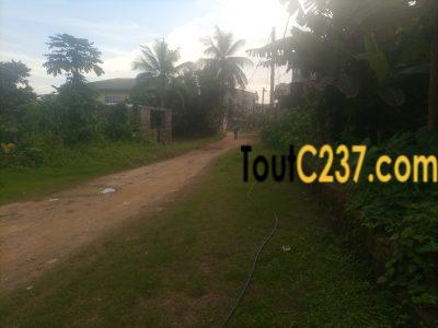 Terrain à vendre à Logbessou (carrefour)