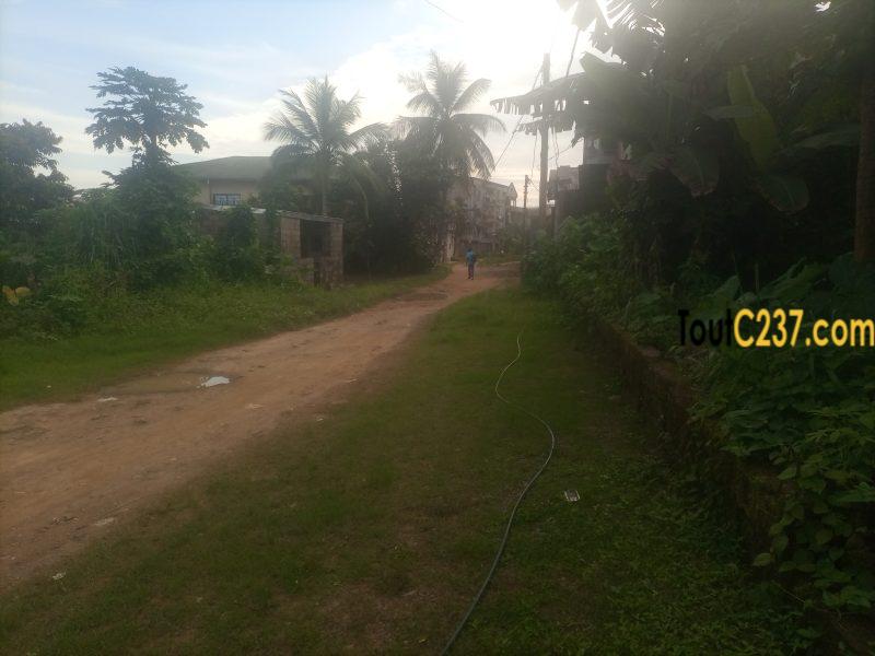 Terrain à vendre à Logbessou (carrefour)