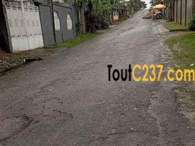 Maison à louer à Logpom, Douala