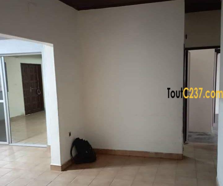 Maison à louer à Logpom, Douala