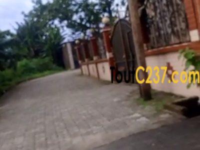 Terrain vip à vendre à Bonamoussadi Denver