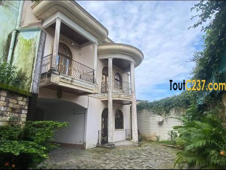 Duplex à louer à Bonapriso Douala