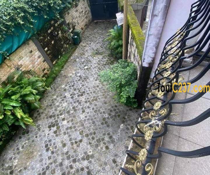 Duplex à louer à Bonapriso Douala