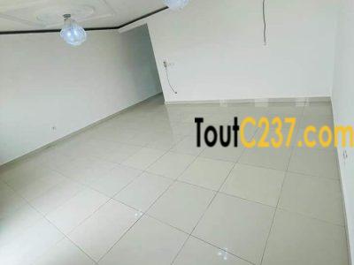 Appartement neuf à louer à Bonamoussadi
