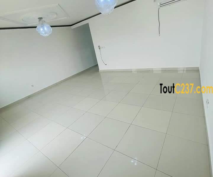Appartement neuf à louer à Bonamoussadi
