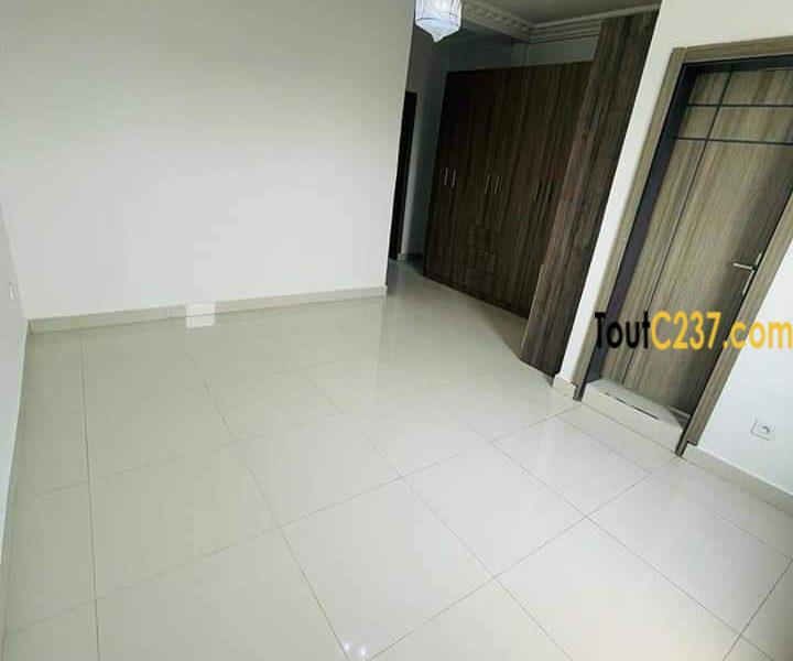 Appartement neuf à louer à Bonamoussadi