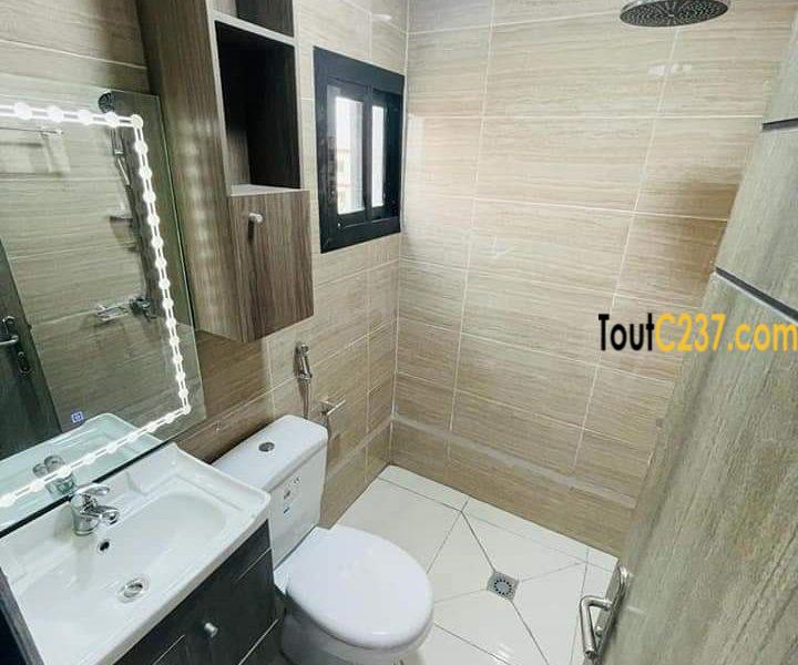 Appartement neuf à louer à Bonamoussadi