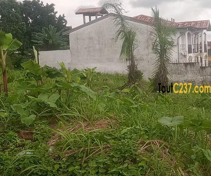 Terrain d'Angle à vendre à Logpom (maison jumelle)