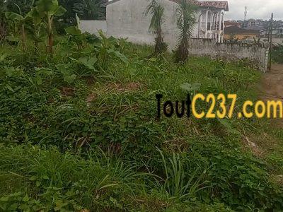 Terrain d'Angle à vendre à Logpom (maison jumelle)