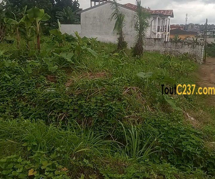 Terrain d'Angle à vendre à Logpom (maison jumelle)