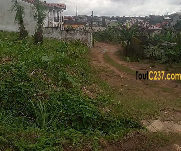 Terrain d'Angle à vendre à Logpom (maison jumelle)