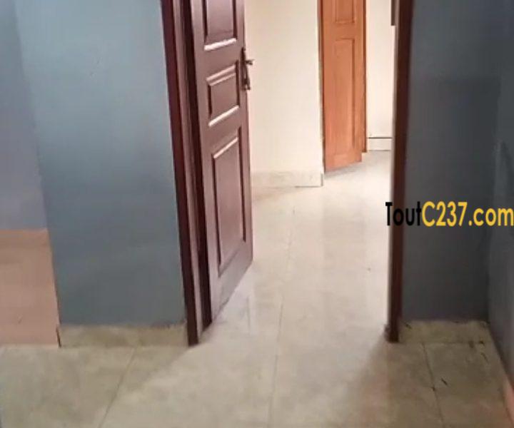 Appartement à louer à Bonapriso Douala