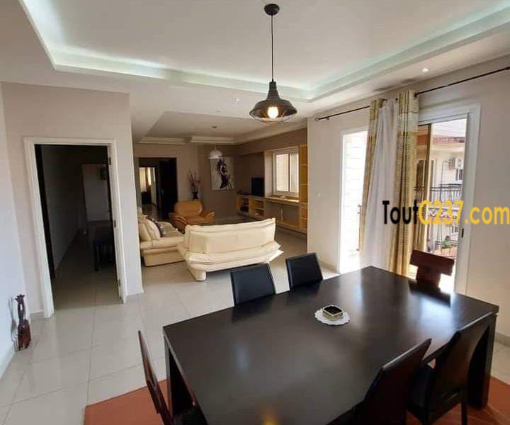 Appartement vip à louer à Bonapriso Douala